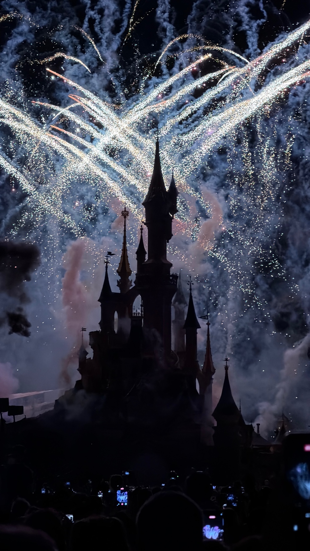 Fogo de artifício sobre o Castelo da Bela Adormecida durante o espetáculo noturno